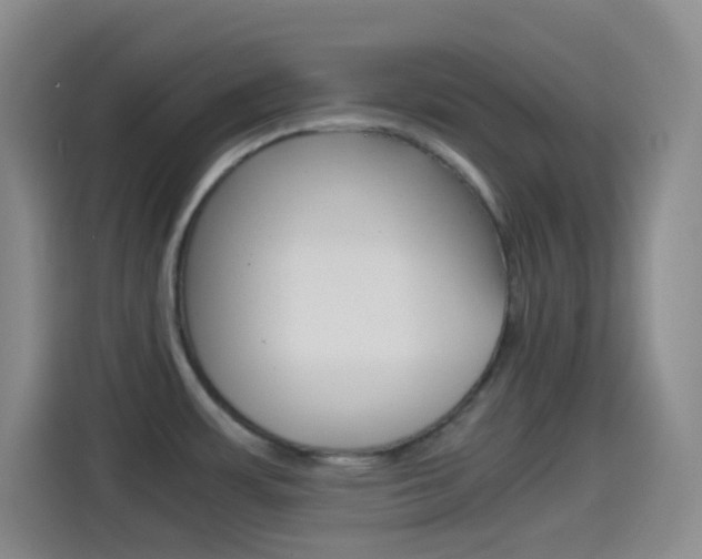 X0000114561483200910191001