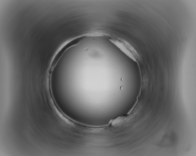 X0000114561484200910191001