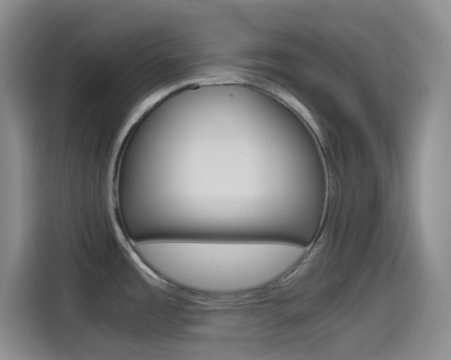 X0000114561485200910191001