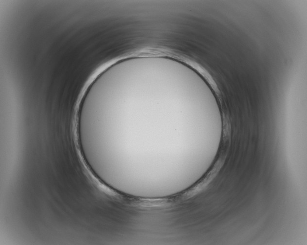 X0000114561486200910191001