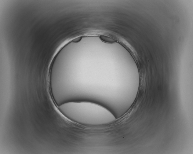X0000114561487200910191001