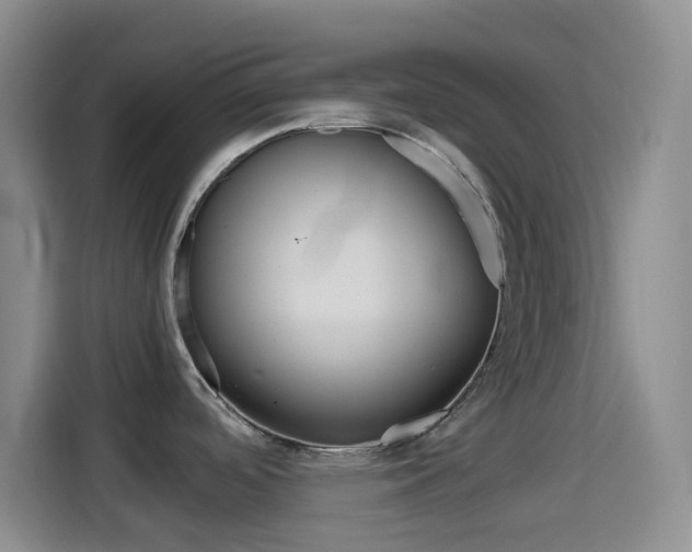 X0000114561488200910191001