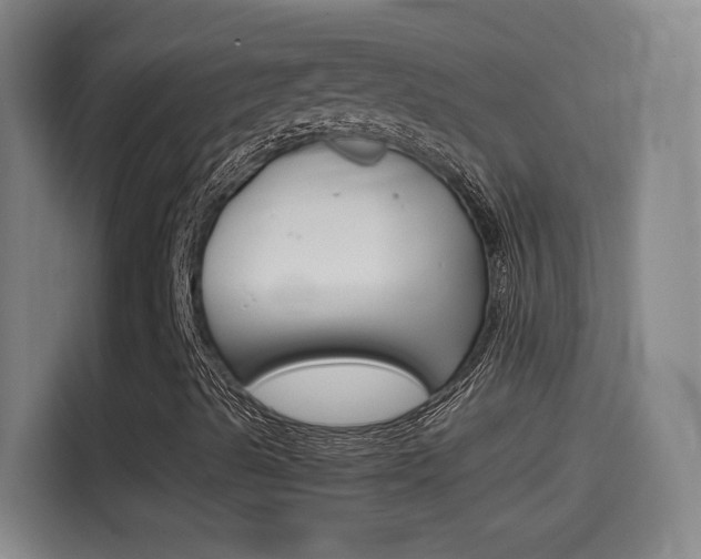 X0000114561489200910191001