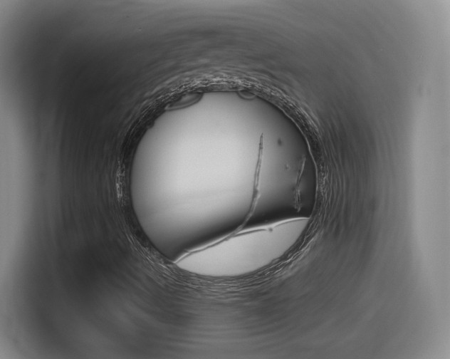 X0000114561490200910191001