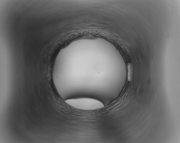 X0000114561491200910191001