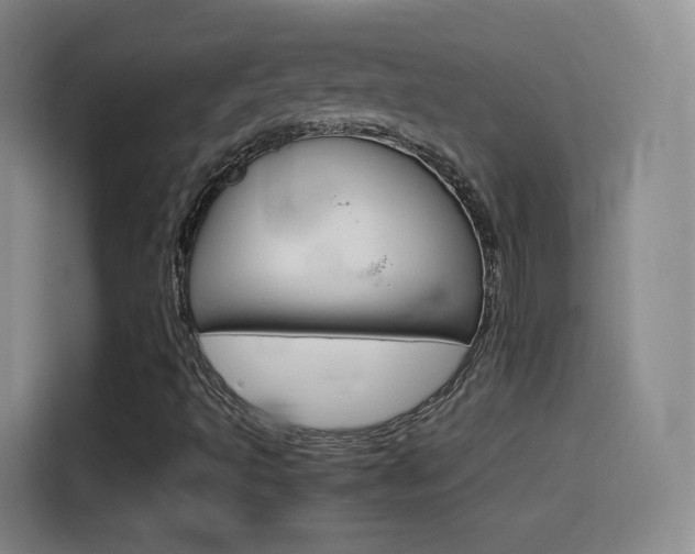 X0000114561493200910191001