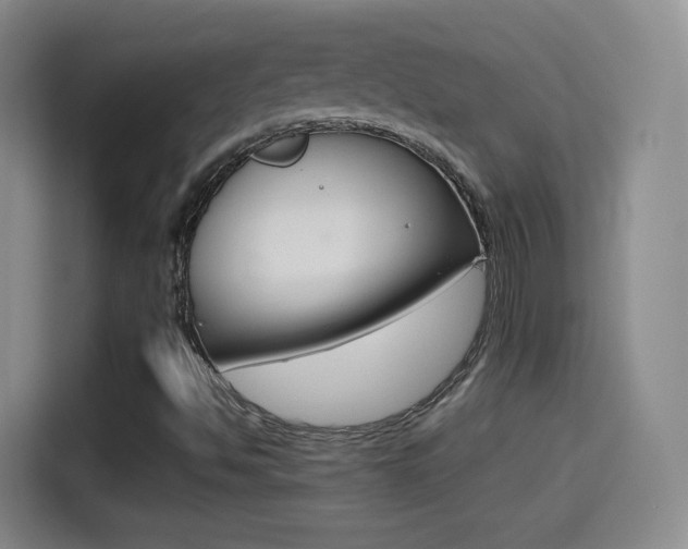 X0000114561494200910191001