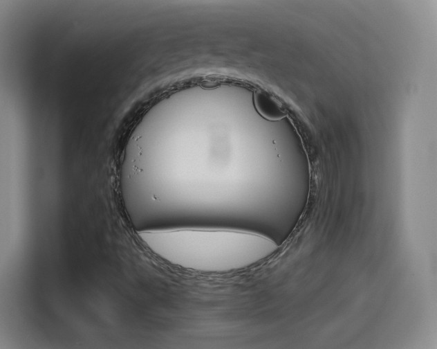 X0000114561495200910191001