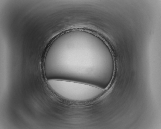 X0000114561497200910191001