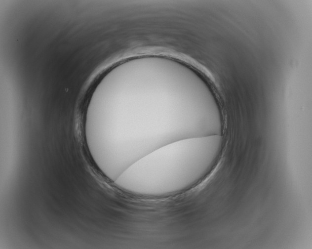 X0000114561498200910191001