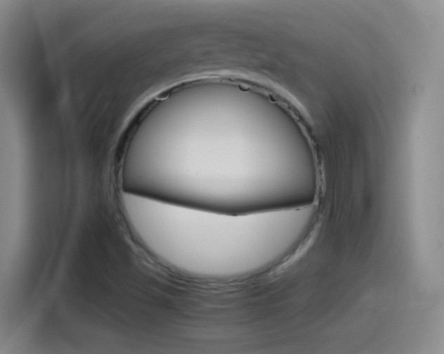 X0000114561501200910191001