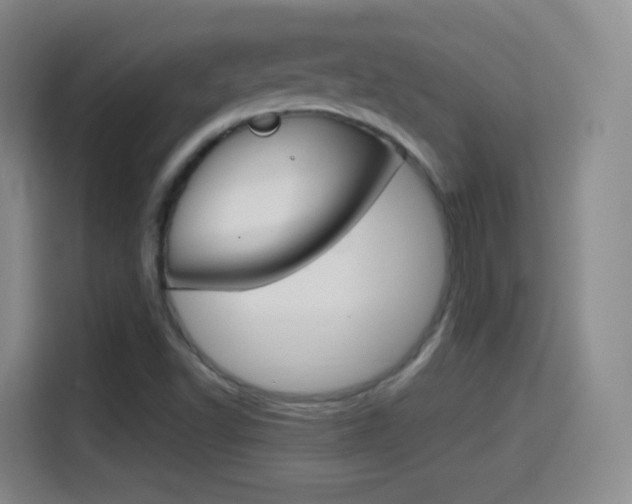 X0000114561502200910191001