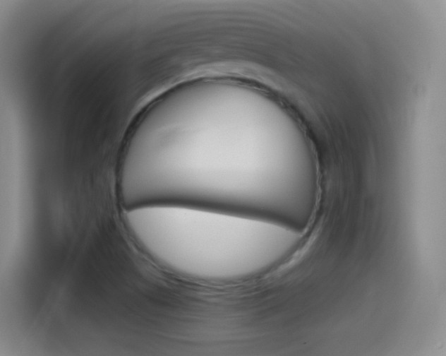 X0000114561505200910191001