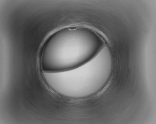 X0000114561506200910191001