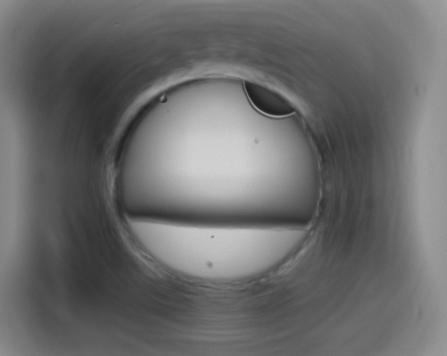 X0000114561507200910191001