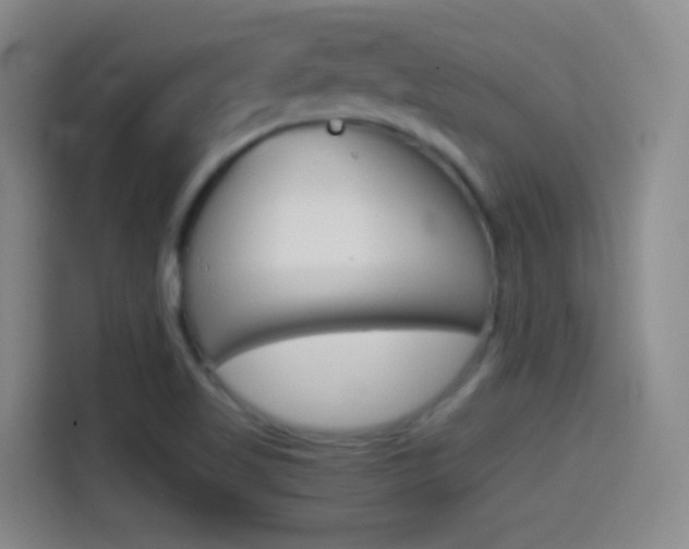X0000114561509200910191001