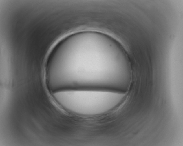 X0000114561511200910191001