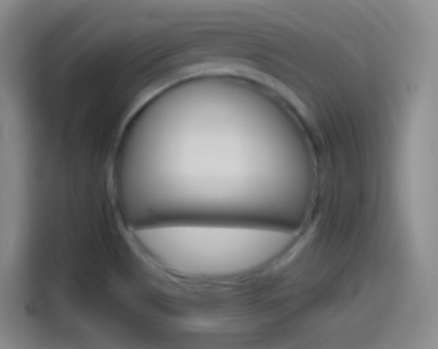 X0000114561513200910191001