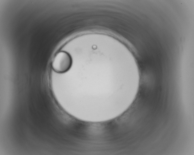 X0000114561514200910191001