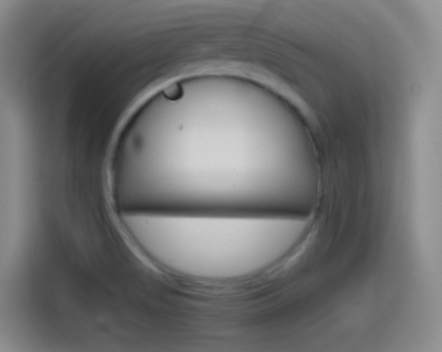 X0000114561517200910191001