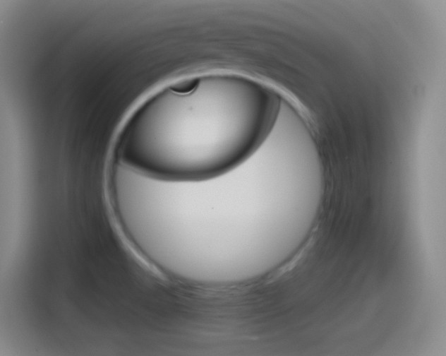 X0000114561518200910191001
