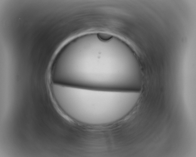 X0000114561519200910191001