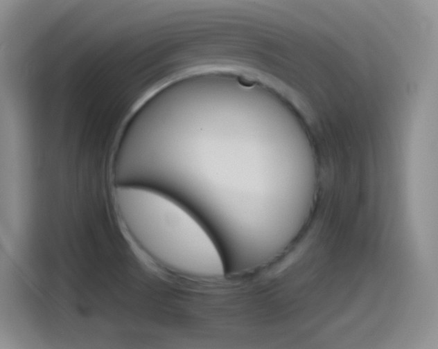 X0000114561521200910191001