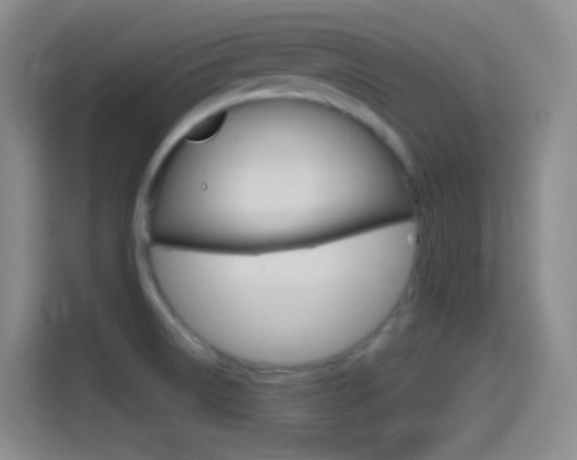 X0000114561522200910191001