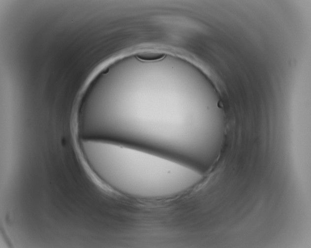 X0000114561523200910191001