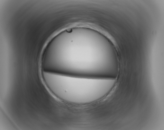 X0000114561525200910191001
