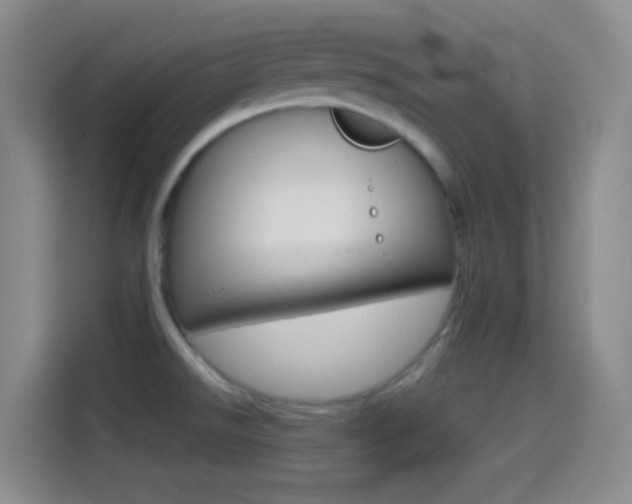 X0000114561526200910191001