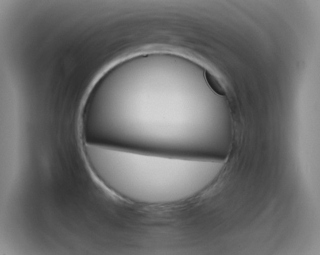 X0000114561527200910191001