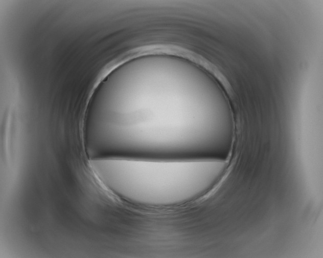 X0000114561529200910191001