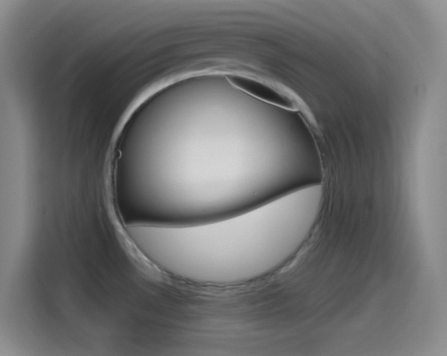 X0000114561530200910191001