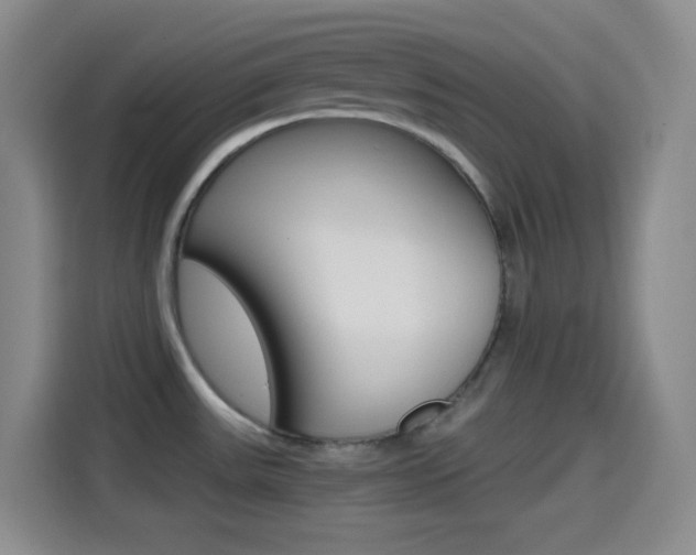 X0000114561531200910191001