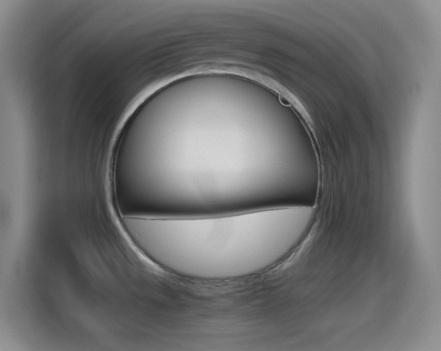 X0000114561533200910191001