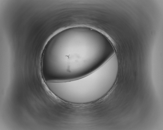 X0000114561534200910191001