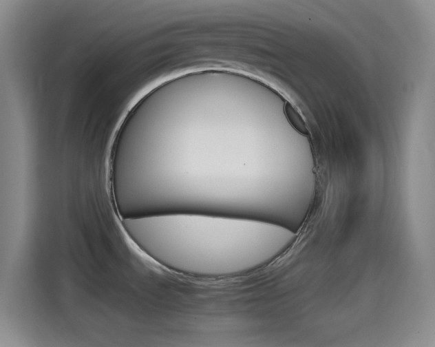 X0000114561535200910191001
