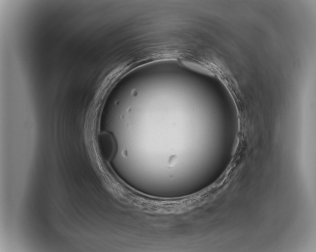 X0000114560001200910191441