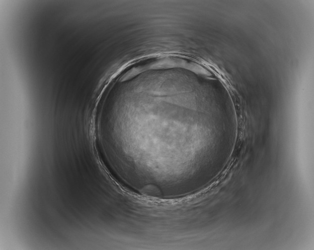 X0000114560002200910191441