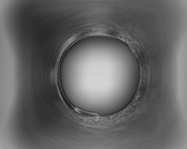 X0000114560003200910191441