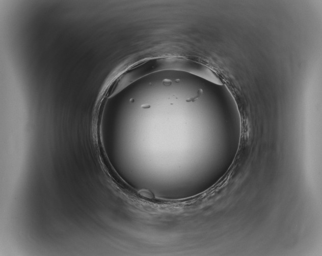X0000114560004200910191441