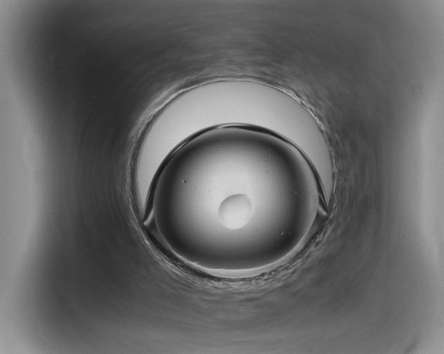 X0000114560005200910191441