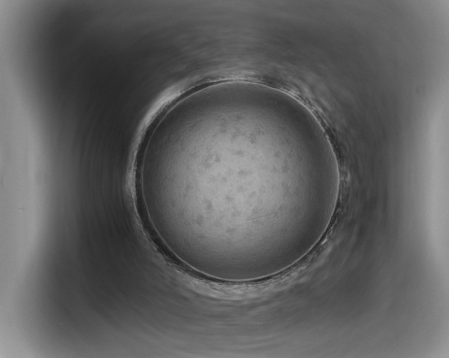 X0000114560006200910191441