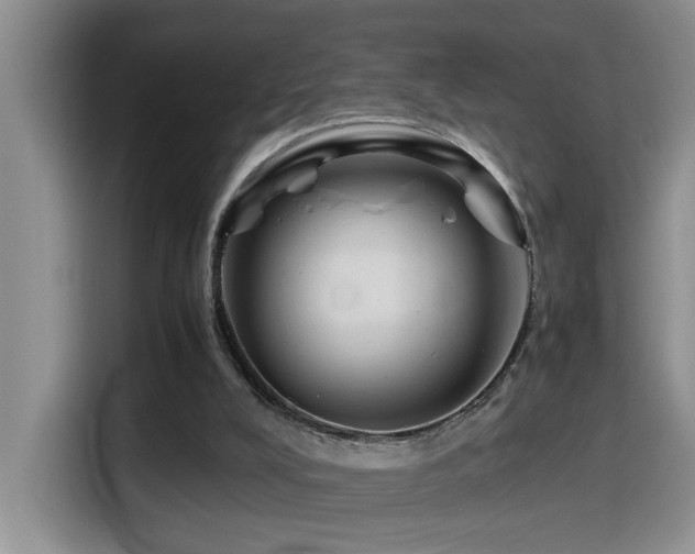 X0000114560008200910191441