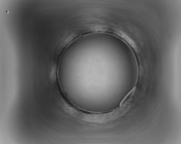 X0000114560009200910191440