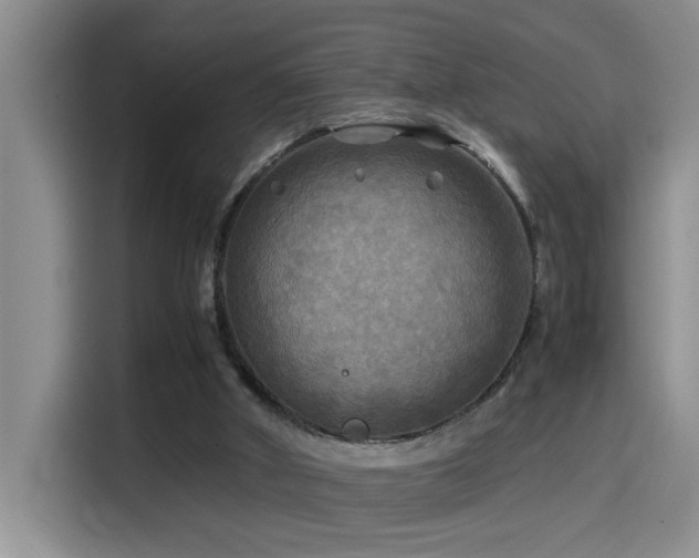 X0000114560010200910191440
