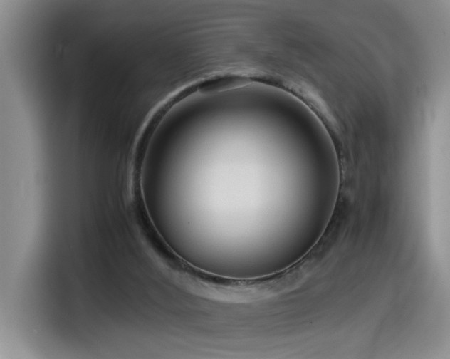 X0000114560012200910191440