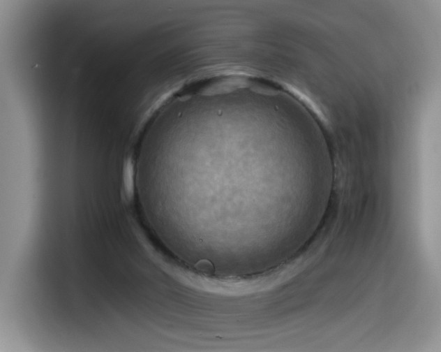 X0000114560014200910191440