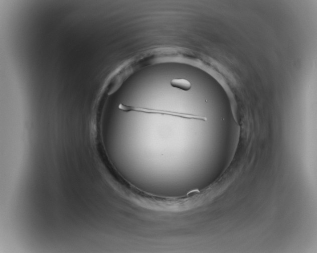 X0000114560015200910191440